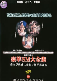 豪華SM大全集