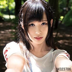 さくや 2