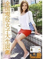 Can College 65