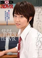 【VR】男の子みたいな女の子と…。僕が女だって事を、先生が隠しててくれたらなんでもしますよ…。【イケナイ放課後VR】