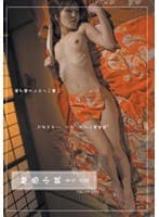 fetish mix No.2 触感小説 青木沙羅