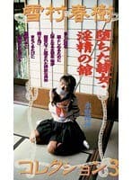 雪村春樹コレクション3 堕ちた隷女・淫精の館 水野理沙
