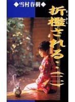 折●される… (二)