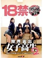 18禁 限界露出女子校生 2 ～平成生まれの、乳首・お●んこのギリギリまで全部見えちゃう！？の巻～