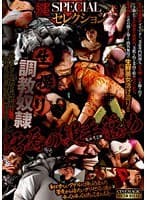 縄SPECIALセレクション 生撮り調教奴● 汚辱の縄手籠め