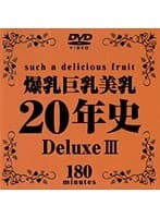 爆乳巨乳美乳20年史 Deluxe 3