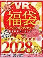 【VR福袋！】ハイクオリティヒットSPECIAL2 人気11メーカー13タイトルノー編集でドドーンと大放出2028分！！