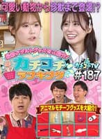 カチコチTV＃187