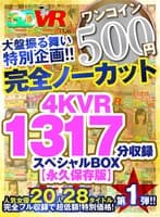 【VR】【500円ワンコイン】完全ノーカット大盤振る舞い特別企画！！4KVR1317分収録スペシャルBOX【永久保存版】