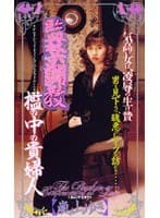 監禁調教 檻の中の貴婦人
