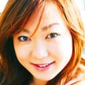 相田由美 profile