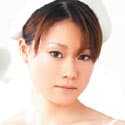 平沢蓮 profile