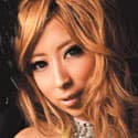 桜庭ハル profile