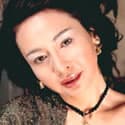 月星子 profile