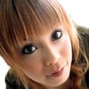 柳瀬遥 profile