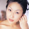 やなせりほ profile