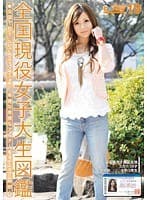女子キャンナウ 19 （DOD）