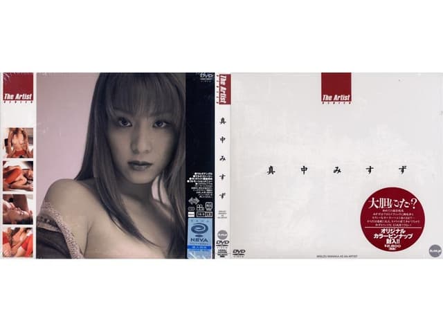 The Artist 真中みすず