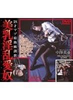 美乳淫乱愛奴 18才マゾ娘熱蝋調教